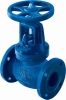 BS globe valve