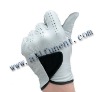 Golf Glove