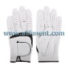 golf glove