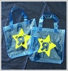 PVC Bag/pvc packing bag/pe bag/plastic bag