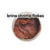 Brine Shrimp Flakes