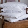 BL-A-205  silk pillows/100% natural mulberry silk pillow