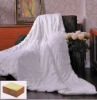 BL-A-005silk quilt /mulberry silk quilt / silk bedding