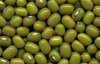 green mung beans