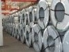 galvanized steel sheet in coils