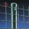 Holland welded mesh fence