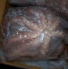 IQF whole frozen octopus seafood