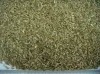 2011 crop cumin seeds