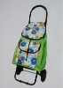 RPET newly arrived hot selling cute shopping trolley/bag/cart (bag can be taken apart)