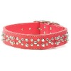 Designer Dog Collar, Dog Collars