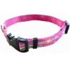 Designer Dog Collar, Dog Collars