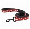 dog leash