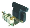 Dry Ignition Coil