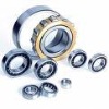 Cylindrical Roller Bearing  ( N ,NU,NJ,NUP,NNU,NN,NF,NCF,NJG,NNF)