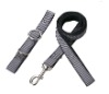 Dog Leash and collar