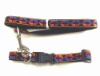 dog collar and lead