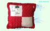 plush cushion,plush pillow,stuffed cushion TDL-PA074