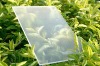 Textured solar drawing glass