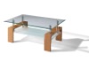 glass coffee table(wood coffee table)