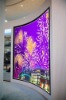 6mm Indoor LED Displays