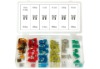 100pc Mini Auto Fuse Assortment