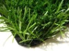 synthetic grass, artificial grass, football/tennis grass