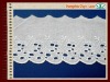 Embroidered cloth lace