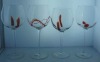 glass stemware