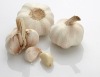 250g mesh bag garlic