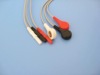 Holter 3-lead wires