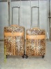 Fashion Trolly Luggage / Travel Trolly Luggage