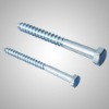 Din571Wood Screws