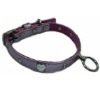 Designer Dog Collar, Dog Collars