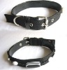 Dog Collar