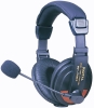 RY- 750mic Headphone