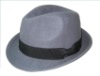 fedora hat