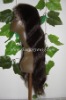 full lace wig