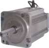 300W BLDC motor