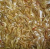 Sun Dried Small River Shrimps