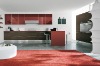 lacquer kitchen cabinet