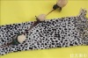 sweety leopard scarf