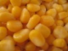 IQF sweet corn kernel