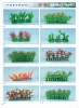 Artificial Aquarium Plants