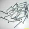 Galvanized Concrete Nails