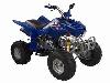 110cc ATV(XY-ATV110A),Popular,Big body