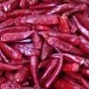 dried red pepper