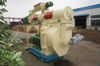 Palm Silk Fiber Pellet Making Machine/Malaysia Palm Silk Fiber Particle Making Machine