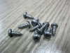 DIN7981self tapping screw