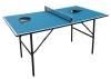 table tennis table