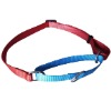 Designer Dog Collar, Dog Collars